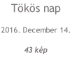 Tökös nap 2016. December 14.  43 kép