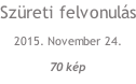 Szüreti felvonulás 2015. November 24.  70 kép